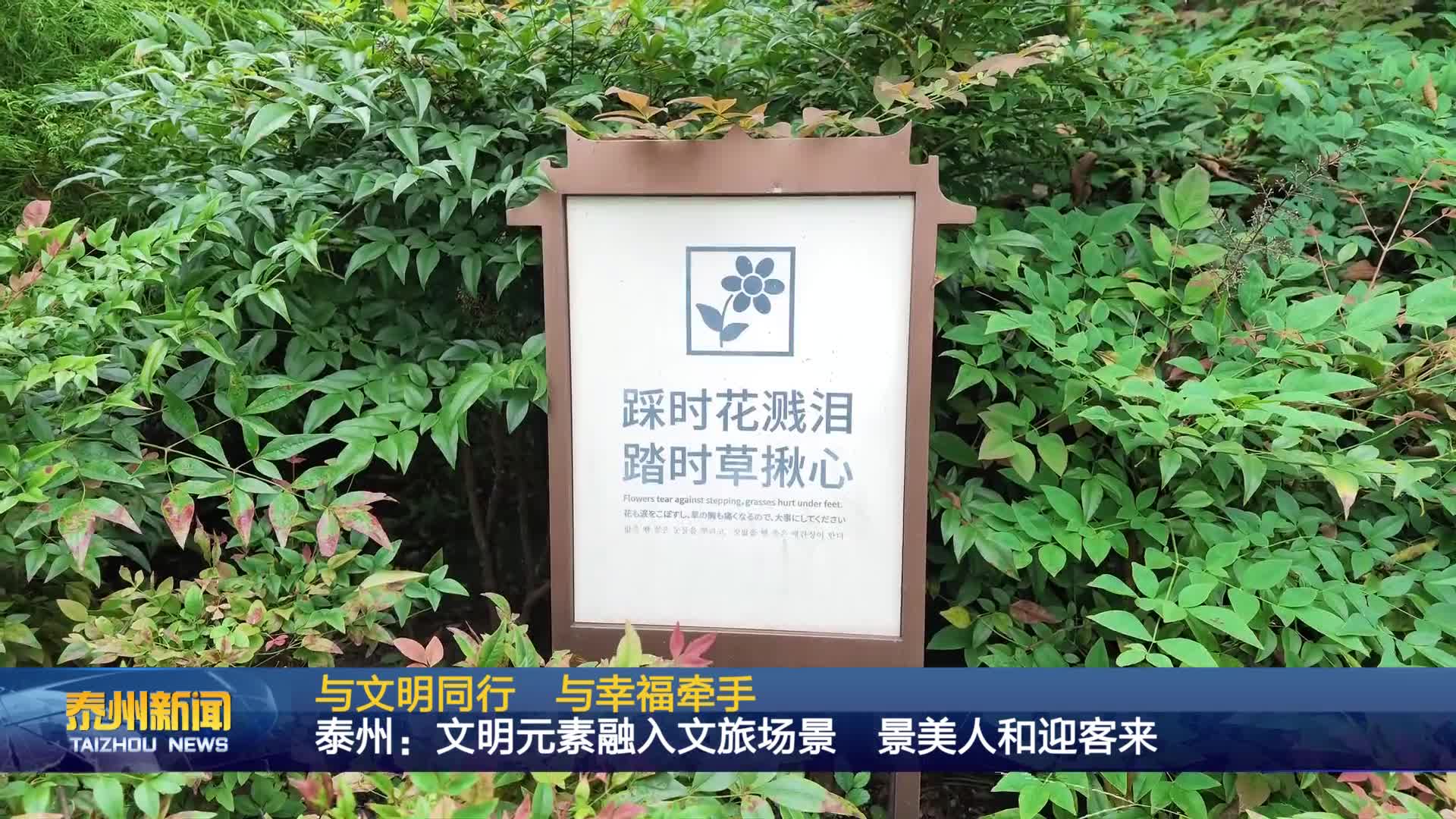 与文明同行  与幸福牵手  泰州：文明元素融入文旅场景 景美人和迎客来
